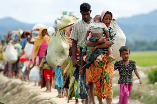 rohinga
