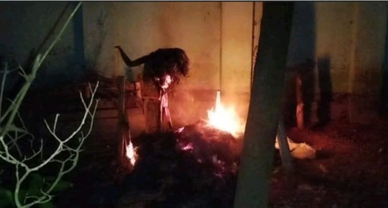 WhatsApp Image 2025-09-02 at 22.40.44_d0d8f87f